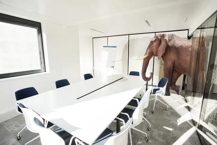 The elephant in the room represents a leadership challenge. Leaders need to address it to build trust with their teams.