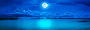 Picture of a blue moon to represent Blue Mooning. There is a growing trend in the workplace called Blue Mooning. The term is derived from blue moon, which is the occurrence of two full moons in a calendar month. In the world of work, some employees are quitting organizations after the second week or after receiving a second paycheck.