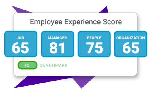 Image of employee experience scores, which relate to engagement and Glassdoor ratings.